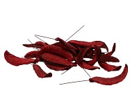 PICK NAT CAOINHAS RED ON WIRE PER 50 PC